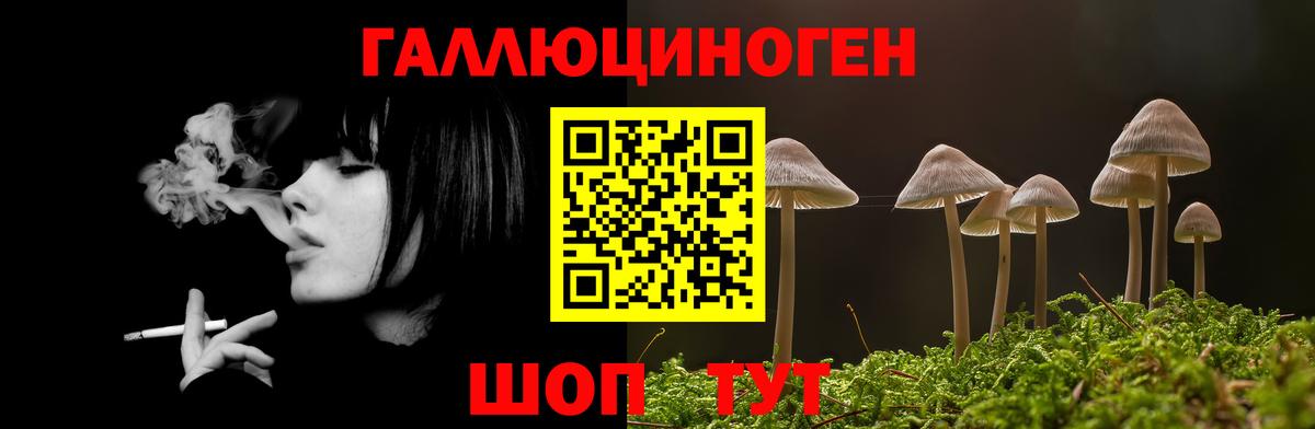 Галлюциногенные грибы Cubensis  Вход с VPN  Псилоцибиновые грибы Psilocybe  Новозыбков 